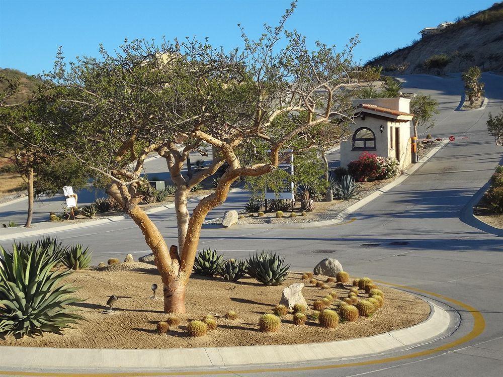 Cabo Marina Beach Condos Cabo San Lucas Luaran gambar