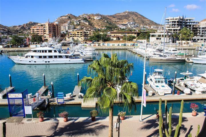 Cabo Marina Beach Condos Cabo San Lucas Luaran gambar